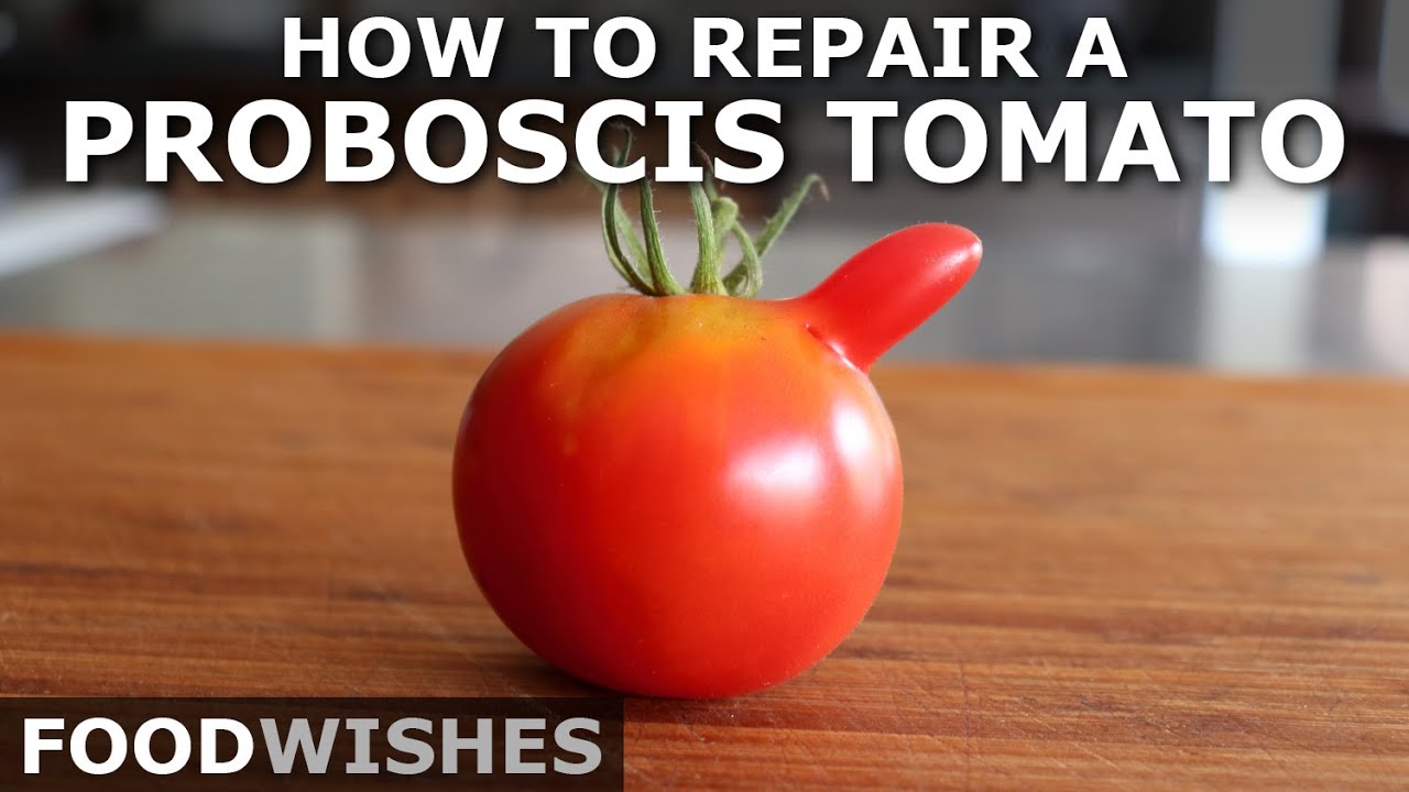 How To Repair A Proboscis Tomato - The Chef John Method - Food Wishes